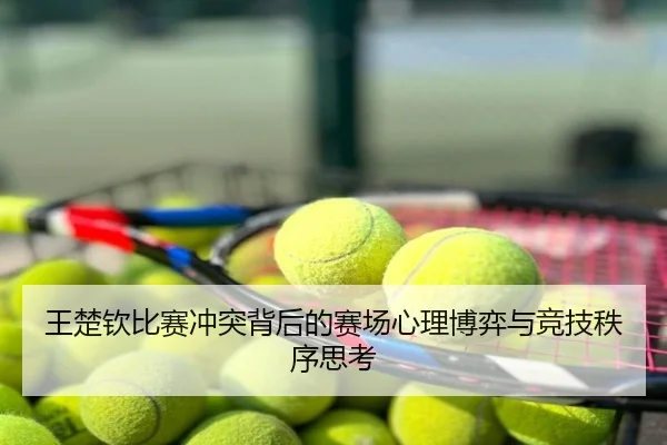 王楚钦比赛冲突背后的赛场心理博弈与竞技秩序思考