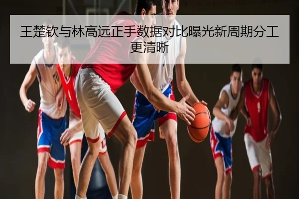 王楚钦与林高远正手数据对比曝光新周期分工更清晰
